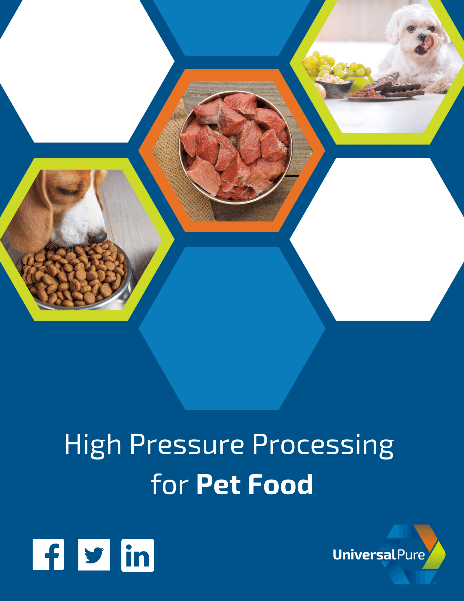 Universal Pure HPP and Pet Food Brief Download